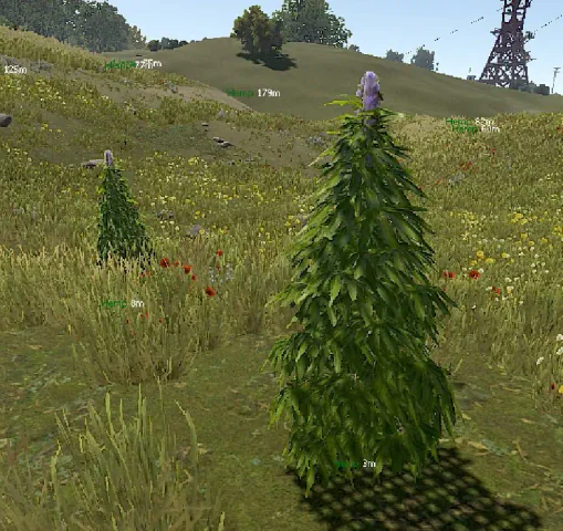 Elysian Rust DMA — DMA CHEATS screenshot 1